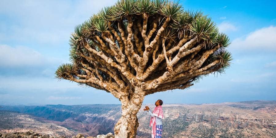 wp9721055-socotra-wallpapers