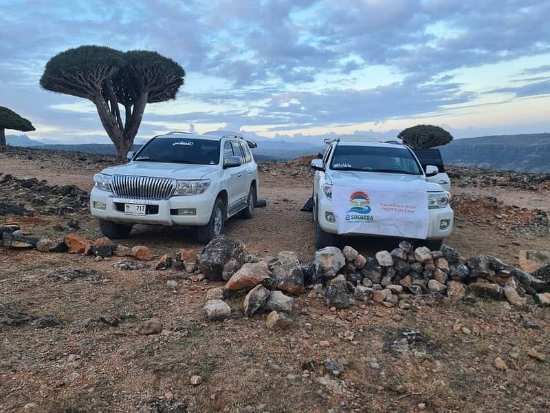 Ultimate Socotra Travel Guide 2025–2026: Explore the Lost World with 2Socotra