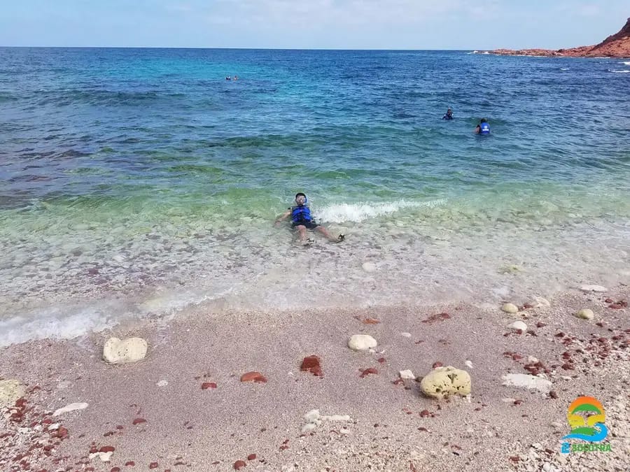 snorkeling-and-diving-to-see-the-colorful-fish-dihamri-marine-protected-area-socotra-island-1536x1152